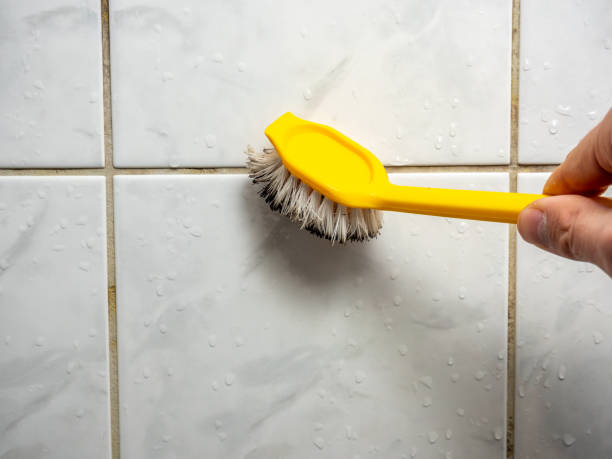 Best Emergency Mold Remediation in Clarkson Valley, MO